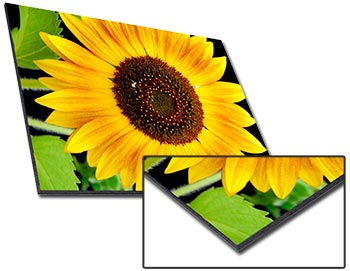 Enhance your prints with a premium Coda print mount. Gatorfoam print mount.