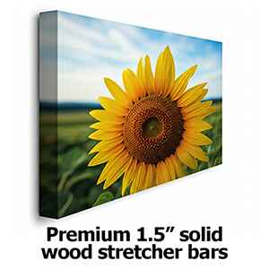 Premium 1.5 inch solid wood stretcher bars. Premium 1.5 inch solid wood stretcher bars.