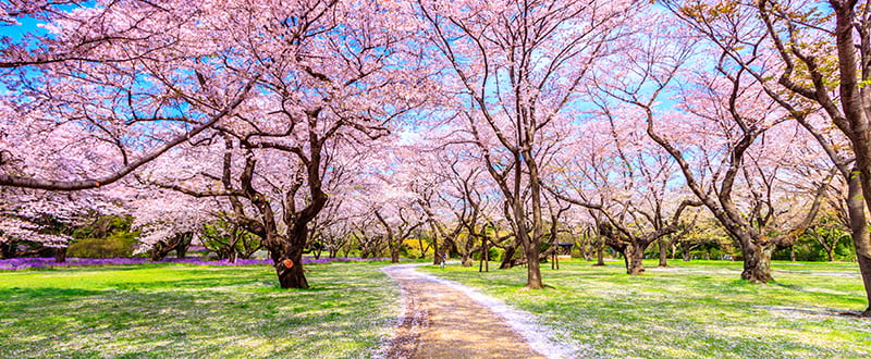 Premium quality photo prints from your digital pictures.